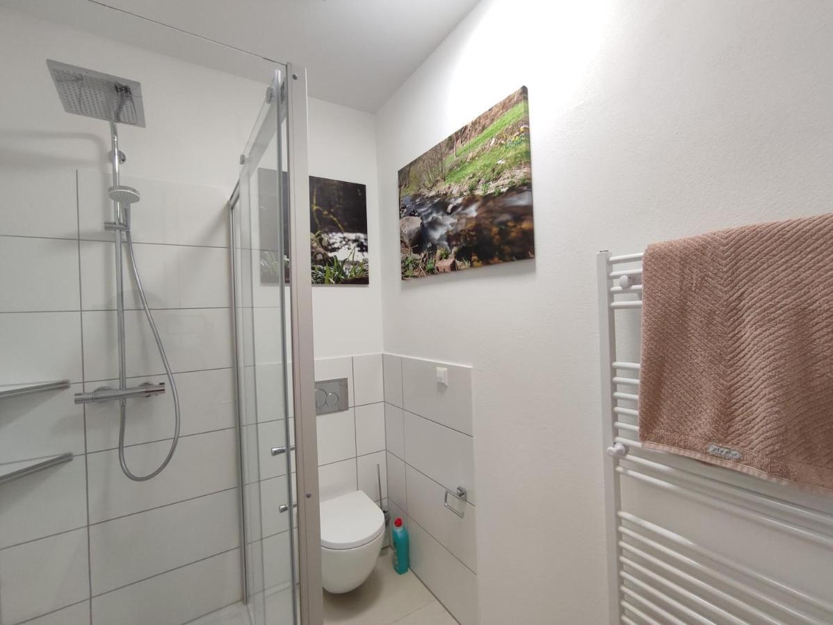 Steepleview House Bed & Breakfast Бад Петерстал-Грисбах Екстериор снимка