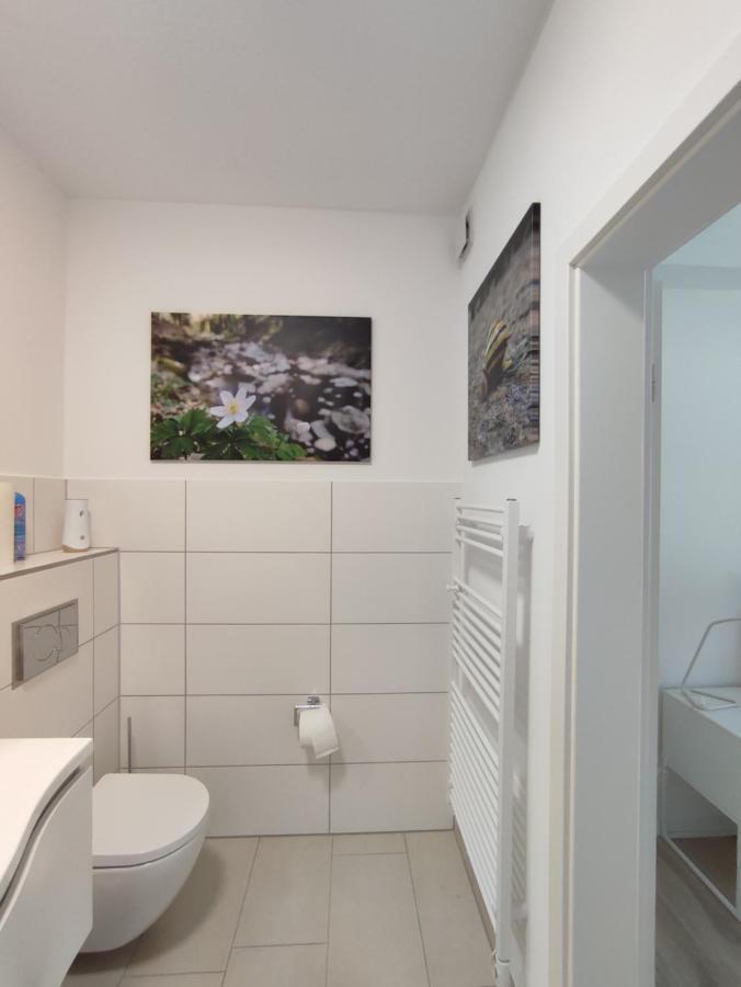 Steepleview House Bed & Breakfast Бад Петерстал-Грисбах Екстериор снимка
